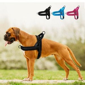 Reflective Harness for dogs Harness vest With padded front clip